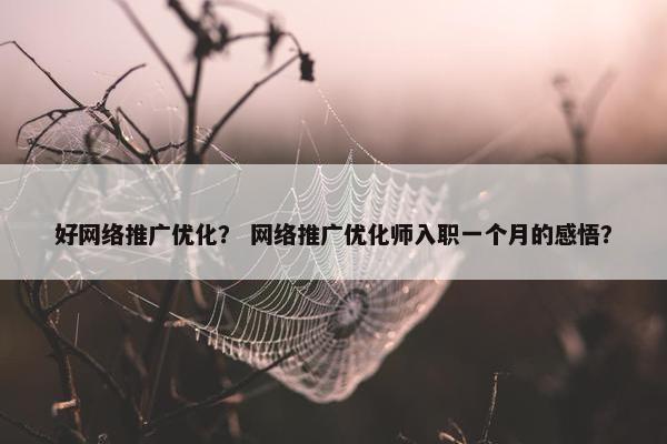 好网络推广优化？ 网络推广优化师入职一个月的感悟？