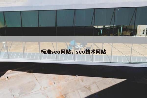 标准seo网站，seo技术网站