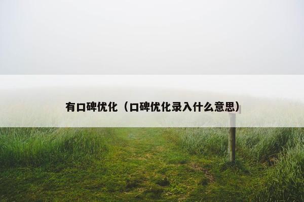 有口碑优化（口碑优化录入什么意思）