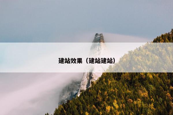 建站效果（建站建站）