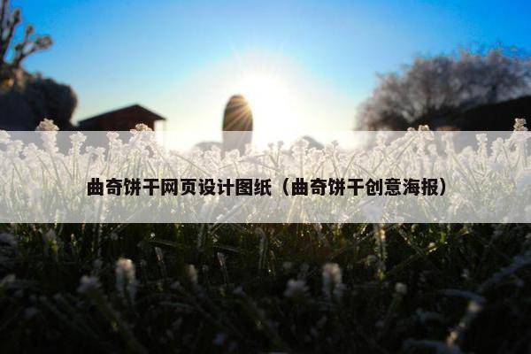 曲奇饼干网页设计图纸（曲奇饼干创意海报）