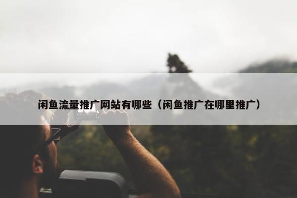 闲鱼流量推广网站有哪些（闲鱼推广在哪里推广）