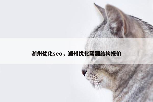湖州优化seo，湖州优化薪酬结构报价