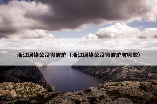 浙江网络公司微波炉（浙江网络公司微波炉有哪些）