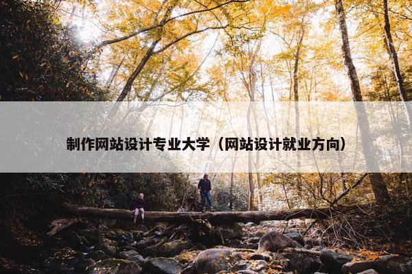 制作网站设计专业大学（网站设计就业方向）