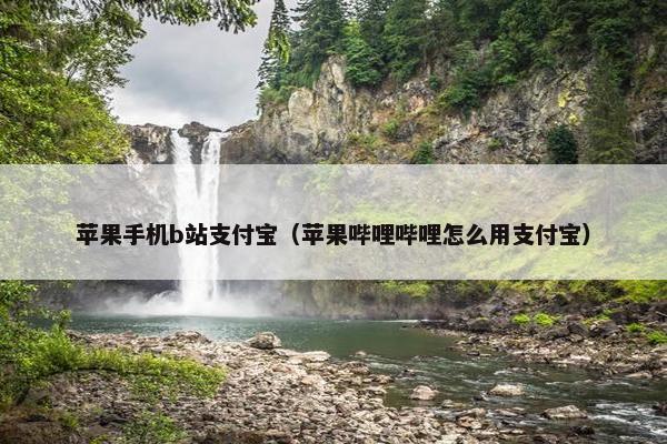 苹果手机b站支付宝（苹果哔哩哔哩怎么用支付宝）