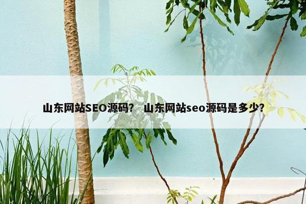 山东网站SEO源码？ 山东网站seo源码是多少？