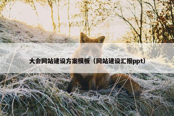 大会网站建设方案模板（网站建设汇报ppt）