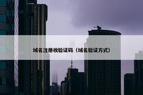 域名注册收验证码（域名验证方式）