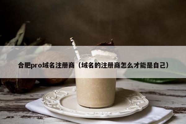 合肥pro域名注册商（域名的注册商怎么才能是自己）