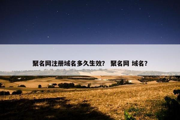 聚名网注册域名多久生效？ 聚名网 域名？