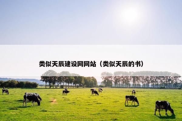类似天辰建设网网站（类似天辰的书）