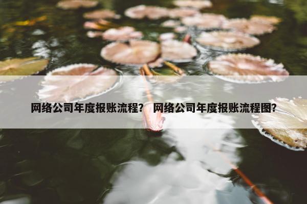 网络公司年度报账流程？ 网络公司年度报账流程图？