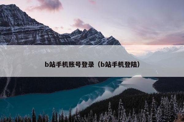 b站手机账号登录（b站手机登陆）