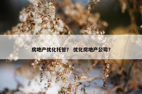 房地产优化托管？ 优化房地产公司？