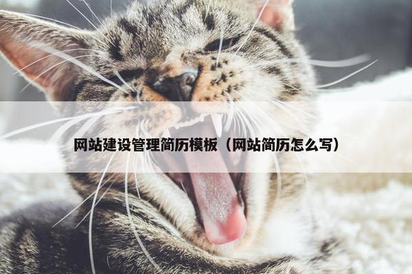 网站建设管理简历模板（网站简历怎么写）