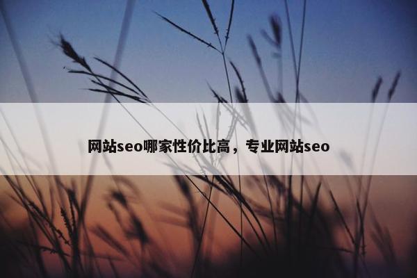 网站seo哪家性价比高，专业网站seo