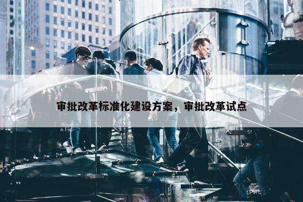 审批改革标准化建设方案，审批改革试点