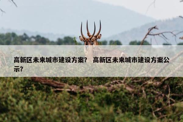 高新区未来城市建设方案？ 高新区未来城市建设方案公示？