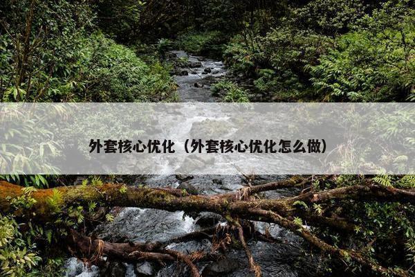 外套核心优化（外套核心优化怎么做）