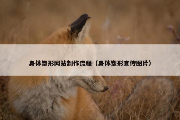 身体塑形网站制作流程（身体塑形宣传图片）