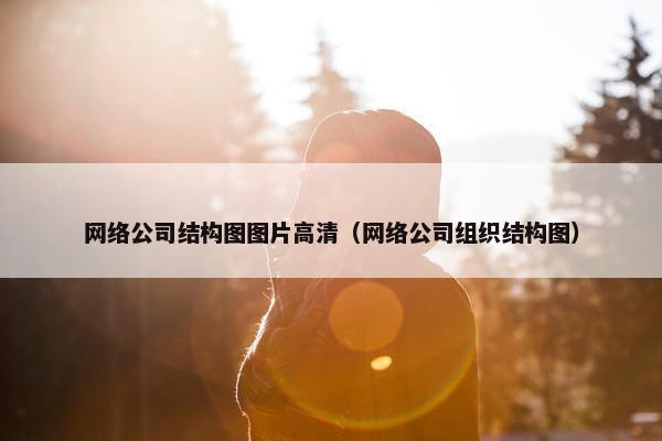 网络公司结构图图片高清（网络公司组织结构图）