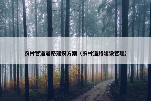 农村管道道路建设方案（农村道路建设管理）