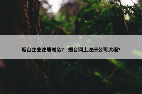 烟台企业注册域名？ 烟台网上注册公司流程？
