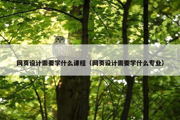 网页设计需要学什么课程（网页设计需要学什么专业）