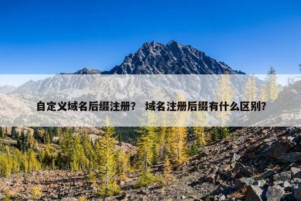 自定义域名后缀注册？ 域名注册后缀有什么区别？