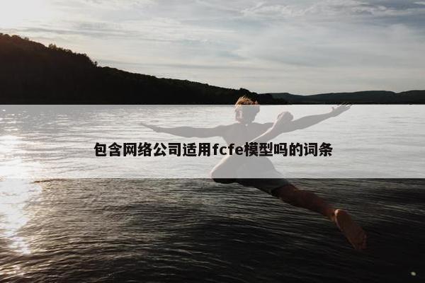 包含网络公司适用fcfe模型吗的词条