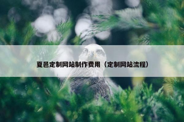 夏邑定制网站制作费用（定制网站流程）