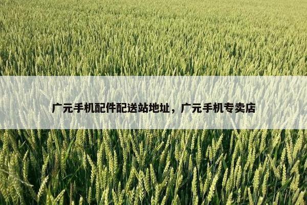 广元手机配件配送站地址，广元手机专卖店