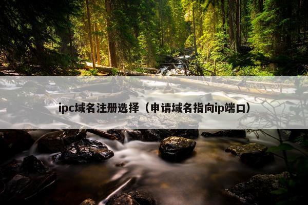 ipc域名注册选择（申请域名指向ip端口）