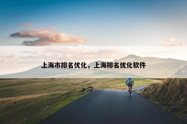 上海市排名优化，上海排名优化软件