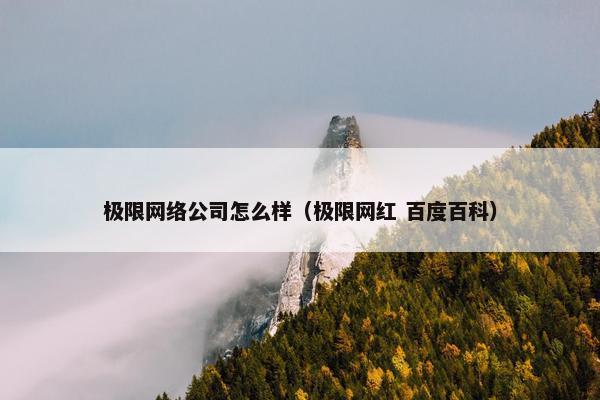 极限网络公司怎么样（极限网红 百度百科）