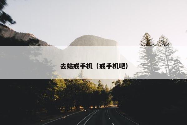 去站戒手机（戒手机吧）