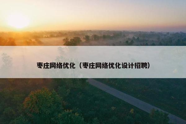 枣庄网络优化（枣庄网络优化设计招聘）