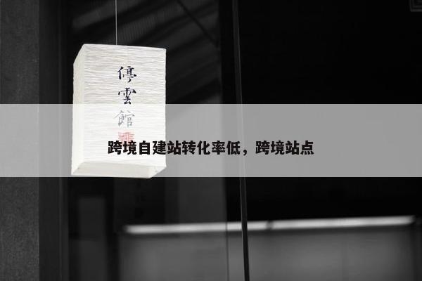 跨境自建站转化率低，跨境站点