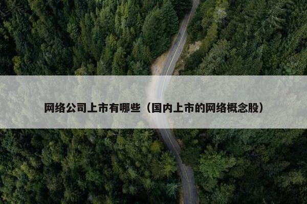 网络公司上市有哪些（国内上市的网络概念股）