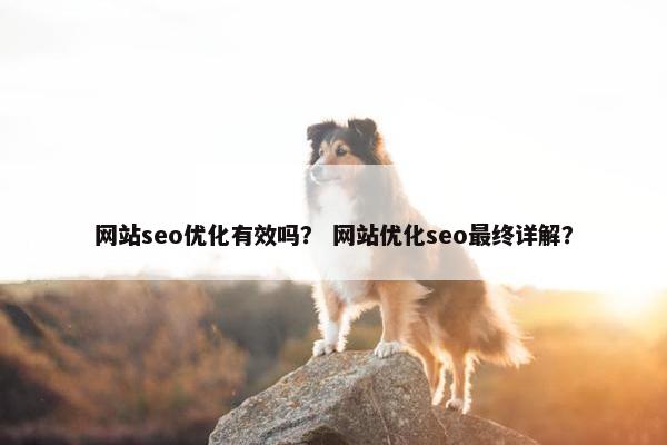 网站seo优化有效吗？ 网站优化seo最终详解？