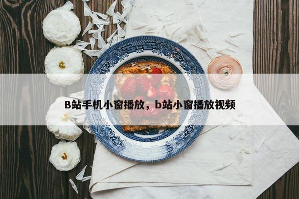 B站手机小窗播放，b站小窗播放视频