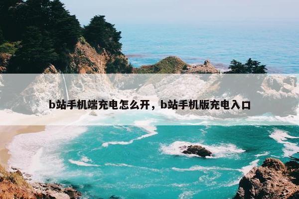 b站手机端充电怎么开，b站手机版充电入口