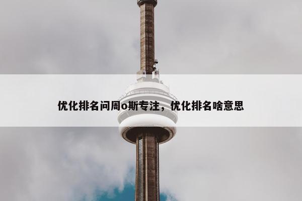 优化排名问周o斯专注，优化排名啥意思