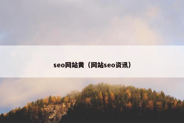 seo网站黄（网站seo资讯）