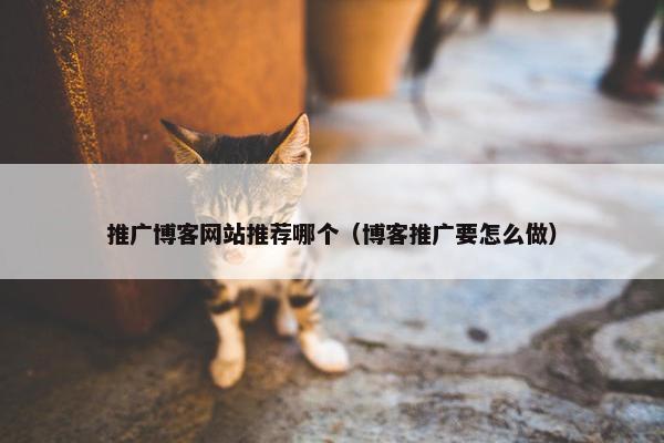 推广博客网站推荐哪个（博客推广要怎么做）