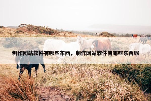 制作网站软件有哪些东西，制作网站软件有哪些东西呢