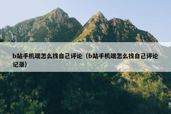 b站手机端怎么找自己评论（b站手机端怎么找自己评论记录）