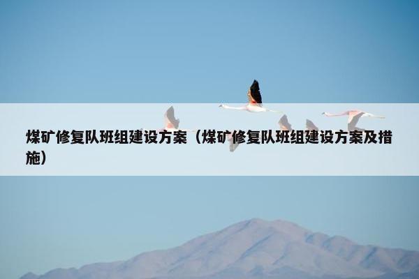 煤矿修复队班组建设方案（煤矿修复队班组建设方案及措施）