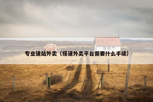 专业建站外卖（搭建外卖平台需要什么手续）